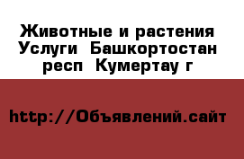 Животные и растения Услуги. Башкортостан респ.,Кумертау г.